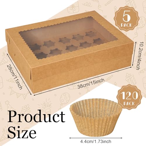 5 Pack Brown Cupcake Boxes for 24 Standard Cupcake with Window - color: Brown