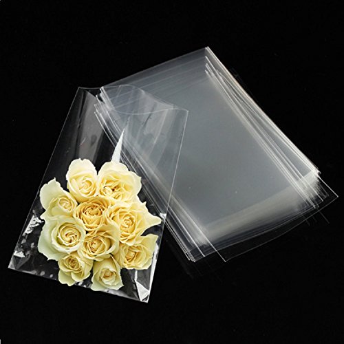 FgfAk 200 Pcs 4x6 Inches Clear Flat Cello/Cellophane heat seal cookie bags - size: 200 count (pack of 1)