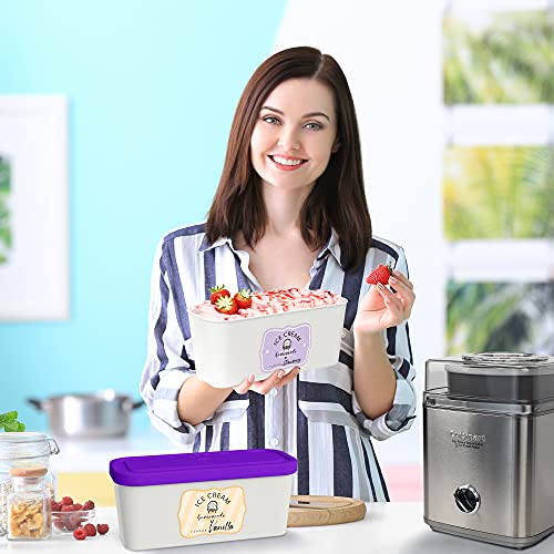 Set of 2 Reusable Ice Cream Tub Containers 1.6 Quart Ea. with Lids