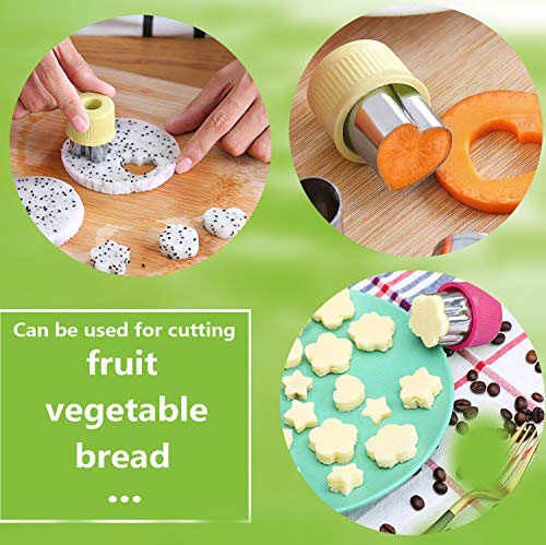 laxizar 9 pcs Cookie Cutters Fruit Cutter Mini Vegetable Cookie Stamps Mold