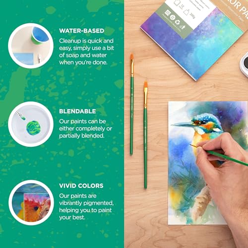 Norberg & Linden Watercolor Paint Set - 36 Premium Paints - 12 Page Pad - 6 Brushes - Painting Supplies with Palette, Watercolors, Art Pad Paper and Artist Brushes