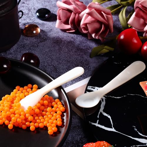 Patelai 2 Pieces Mother of Pearl Caviar Spoons Round Handle, 10cm/3.93 Inch - size: 3.93 inches