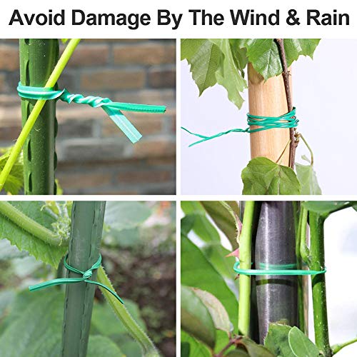 (2 Reels) Garden Wire, Twist Ties Heavy Duty with Cutter 328 Ft Multi-Function Green Coated Tape to Support Plant Tie Up Bags for Home Office (328 Feet / 100 m) - color: Green