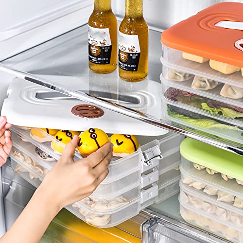 4-Layer Food Storage Containers with Lids Dumpling Storage Box