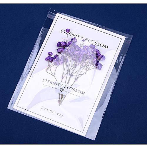 Morepack 8x12 In Self Sealing Cellophane Bags, 200Pcs Clear Cellophane Bags - size: 8" x 12" (Pack of 200)