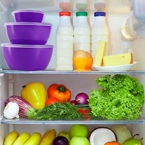 4-Piece Classic Plastic Prep Bowls with Lids, 8/16/24/32oz - color: Purple
