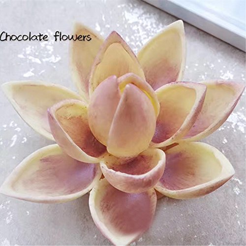Polycarbonate Chocolate Mold DIY Candy Mould Clear Hard Plastic Bakeware Pastry Tools Drip (19388) - color: 14