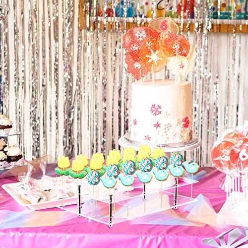 NiHome Rectangle Cake Pop Stand 24 Holes Acrylic Lollipop Holder Clear