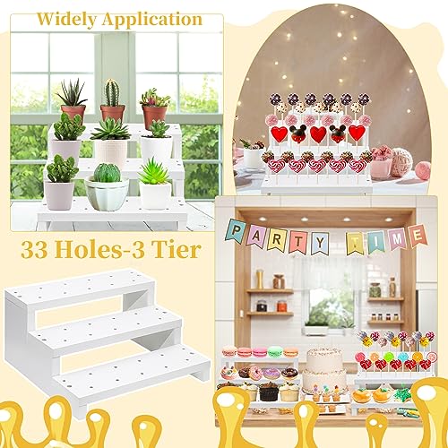 2Pcs Wood Cake Pop Display Stand, White Lollipop Holder 3 Tier with Twist Ties Lollipop Sticks, 33 Holes Sucker Storage Rack for Dessert Table of Wedding Birthday Party Christmas Day (B)