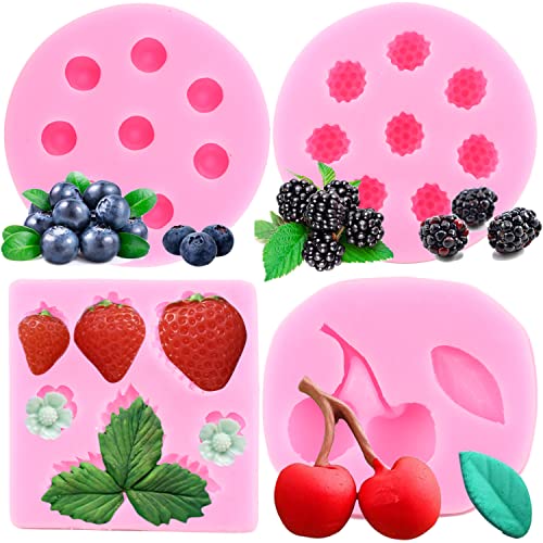 ZiXiang Blueberry Raspberry Cherry Strawberry Cake Fondant Molds Set Of 4 - color: Style A
