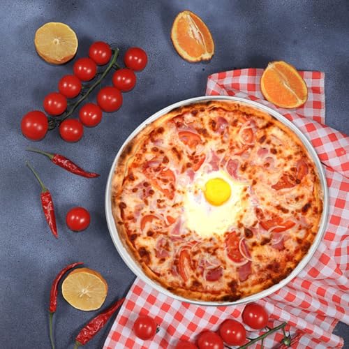 Zerodeko Stainless Steel Pizza Pan Round Perforated Pizza Baking Tray Pan with Holes Replaceable Baking Tray Accessory 9.84 in Oven Bakeware for Homemade