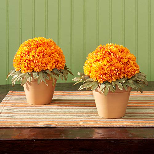 FloraCraft FloraFōM Half Ball 1.9 Inch x 3.8 Inch Green - size: 1.9" x 3.8"
