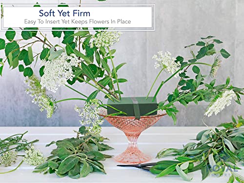 Royal Imports Floral Foam Blocks Pack of 6 (9” x 4.3” x 3.1”) - size: 6 Pack