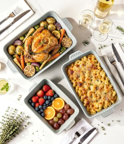TheTerra Casserole Dishes for Oven, Ceramic Baking Dish Set of 3 - color: Desert Sage