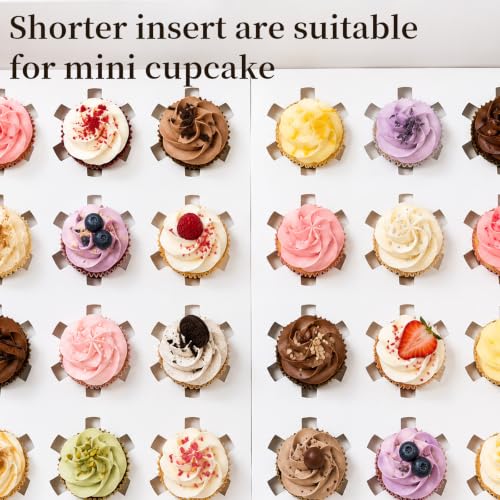 6 Pack Clear Mini Cupcake Container, 24 Count Mini Cupcake Carrier with Window