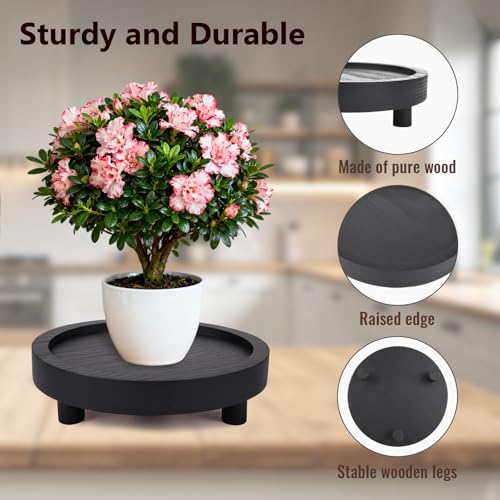 HOMIEE 4PCS Wooden Risers for Display, 5/6/7/8 Inch Wood Pedestal Stand