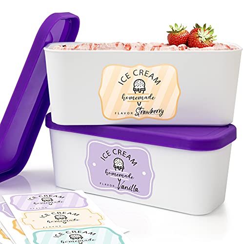 Set of 2 Reusable Ice Cream Tub Containers 1.6 Quart Ea. with Lids