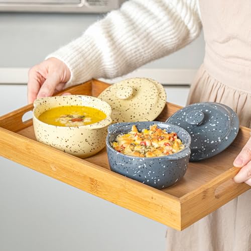 10 oz Ceramic Mini Cocotte Set of 4 for Oven (Gray) - color: Gray