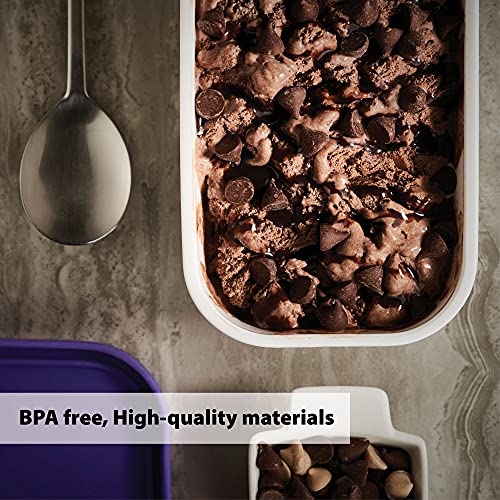 Set of 2 Reusable Ice Cream Tub Containers 1.6 Quart Ea. with Lids