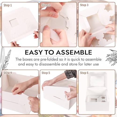 JCD 8 Packs 1+5 Cupcake Box Combo with Clear Window,1 small Cake and 5 Cupcakes Box with insert and Stickers, for Family Birthday Party Mother's day (1+5/8pcs) - size: White 1+5/8Pcs