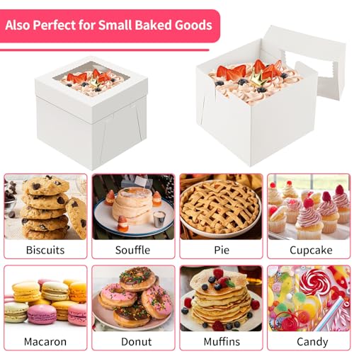 WINKIO Cake Boxes 10 inch, Cake Carrier Holder, Storage Transport Container - size: 10x10x8