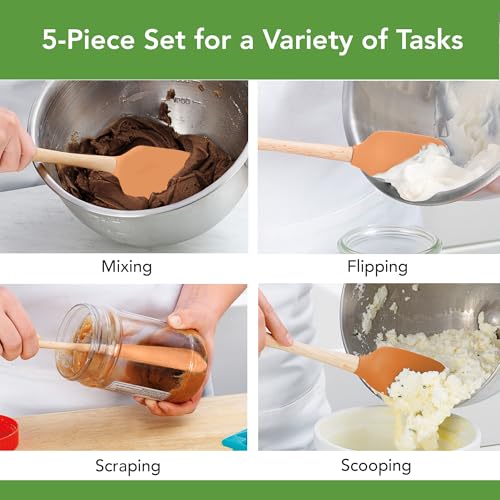 Tovolo Silicone Spatula with Wooden Handle Set of 5 Piece Silicone Kitchen Utensil Set Spoonula Jar Scraper Mini Spatula and Spoonula for Cooking Baking Mixing Folding Apricot Orange Cookware - color: Apricot