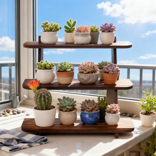 Wooden Display Stand, Tiered Cupcake Stand, 3 Tier Display Stand Riser - color: H-Walnut-L-2Pcs