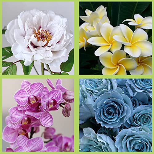 ZiXiang Flower Silicone Veining Mold Rose Veined Fondant Molds Set Of 6 - color: Style A