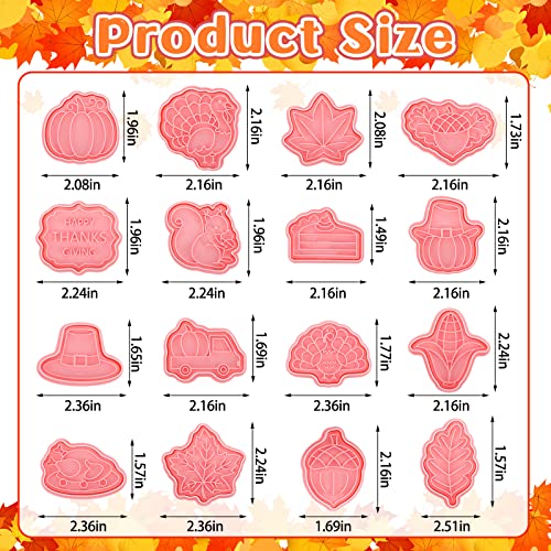 Hoolerry 16 Pcs Thanksgiving Cookie Cutter with Plunger Stamp Set Fall 3D Biscuit Cutter Pastry Fondant Embossing Maple Leaf Turkey Pumpkin Mold for Baking Supplies