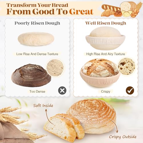 Sourdough Starter Kit Complete Set with Tools, Proofing Baskets, Jars