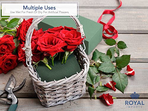 Royal Imports Floral Foam Blocks Pack of 6 (9” x 4.3” x 3.1”) - size: 6 Pack