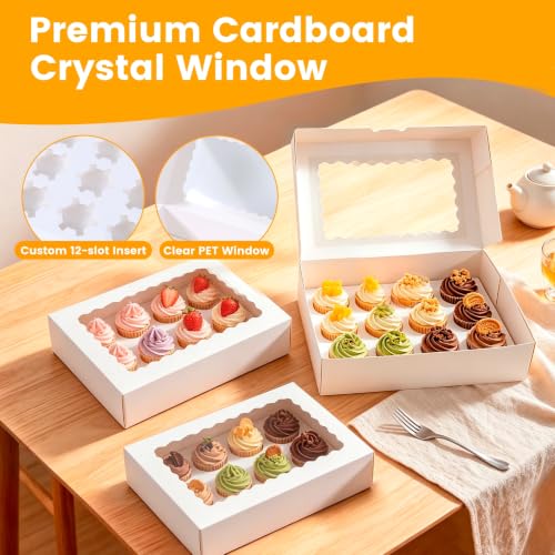 6 Pack Mini Cupcake Container, 12 Count Mini Cupcake Box with Window