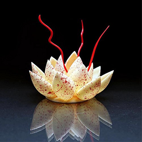 Polycarbonate Chocolate Mold DIY Candy Mould Clear Hard Plastic Bakeware Pastry Tools Drip (19388) - color: 14