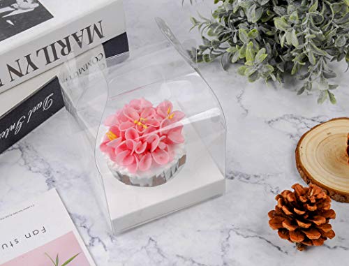 30 Pack Clear Plastic Individual Cupcake Containers with Handles