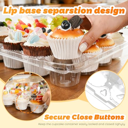 5 Pack 24 Count Cupcake Containers With Tall Dome Lids, 120 Liners
