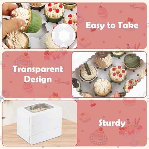 40 PCS Cupcake Boxes 12 Count Bakery Boxes with Window and Inserts