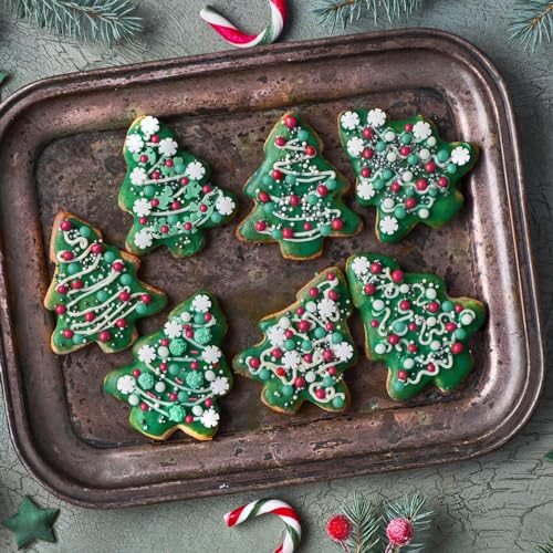 5Pcs Christmas Cookie Cutters,Winter Holiday Cookies Cutter Mold Shapes Gingerbread Men, Snowman,Christmas Tree, Snowflake, Candy Cane with Decorating Instructions - Stainless Steel - color: 5pchris