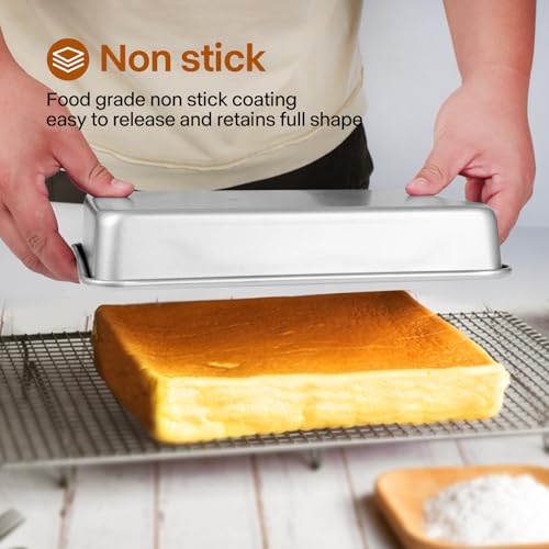 9x11 Baking Pan, Toaster Oven Rectangle Cake Pan Heavy Duty, Silver - color: Silver