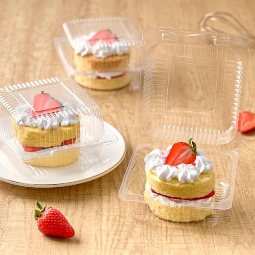 Zezzxu Disposable Square Slice Cake Containers with Hinged Lids, 100 Pack