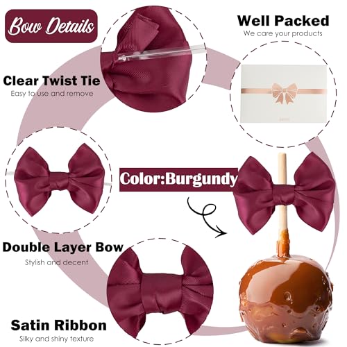 AIMUDI Burgundy Satin Ribbon Twist Tie Bows for Treat Bags 3.5" Maroon Bows for Crafts Small Bows for Gift Wrapping Premade Bows for Cake Pop Candy Apples Gift Bags Wedding Baby Shower -24 Counts - color: Burgundy