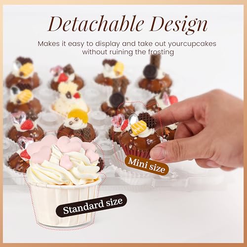 15 Pack 24 - Count Mini Cupcake Containers with 360 Liners