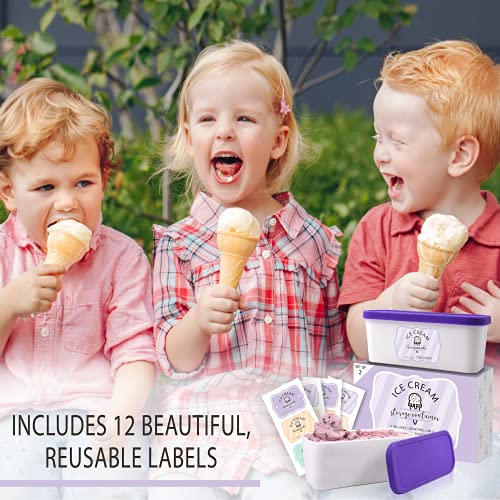Set of 2 Reusable Ice Cream Tub Containers 1.6 Quart Ea. with Lids