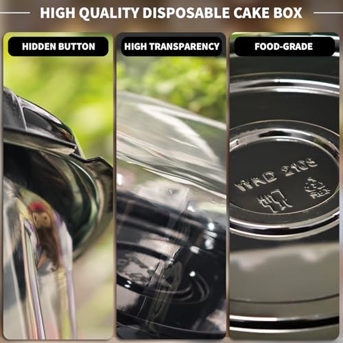6 Pack Disposable Cake Containers with Lids,8" Plastic Cakes Stand with Lid - size: 8 Inches-6 Pack