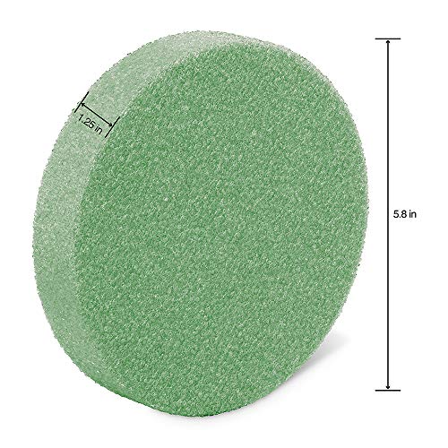 FloraCraft FloraFōM Disc 1.25 Inch x 5.8 Inch Green - size: 1.25" x 5.8", style: STYRO DISCS