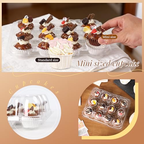 20 Pack 12 - Count Mini Cupcake Containers with 240 Liners