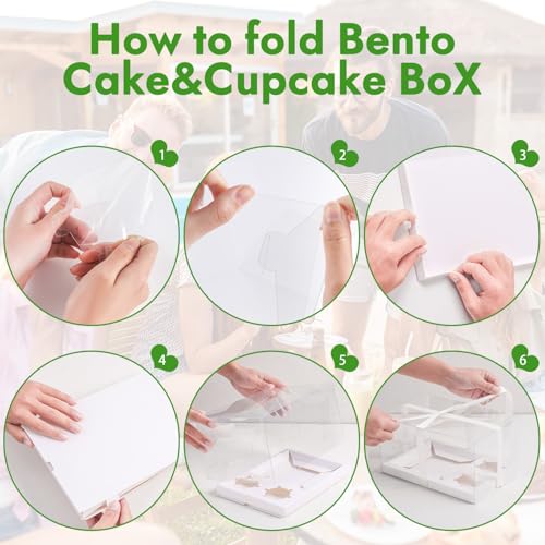 JCD 3 Pcs Cake Cupcake Combo Boxes,1+2 Cupcake carriers 2 Cupcakes Holes - Cakes and Cupcake Clear Boxes - Pastry Sweets Bento Boxes (2 Cupcakes and 1 Cake)(1+2/3Pcs) - size: Clear 1+2/3Pcs