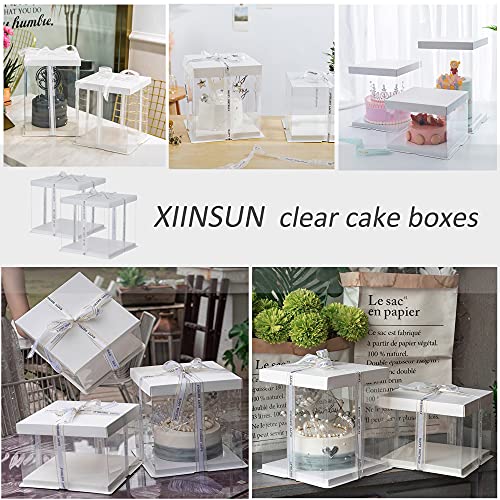 XININSUN 2Pcs Large Cake PET Clear Box, 10" X 10" X 9" with ribbon and pre-folded lid, for 8" cake packing carry, baking cookie display, Carry Tall Layer Gift, Festive Gift Box -White - color: white-10x10x9inch-2Pcs