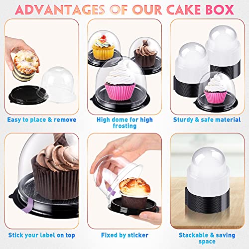 Honeydak 50 Pcs Clear Individual Cupcake Boxes Container Cupcake Holder