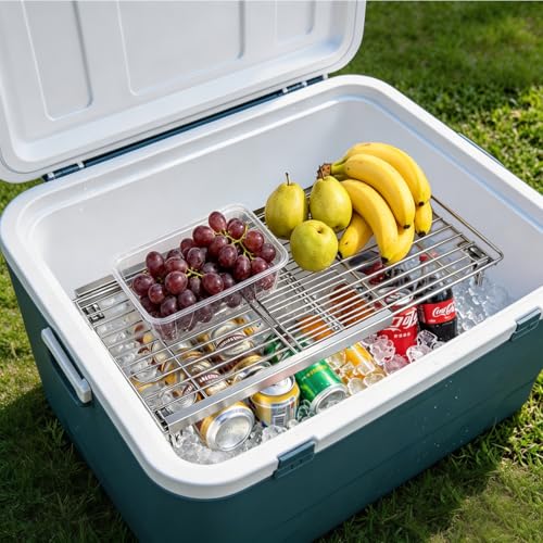 Orgneas Expandable Freezer Shelf Cooler Shelf Organizer 15.8"-22" - color: Thickened Expandable