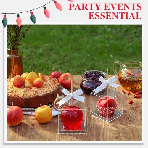 Weysat 100 Pcs Candy Apple Boxes, Silver Base Clear PET with Hole Top - color: Silver